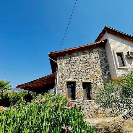 Olive Villa *