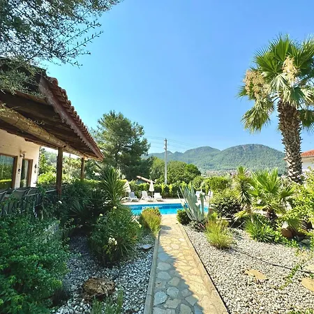Olive Villa