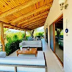 Olive Fethiye