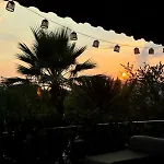 Olive * Fethiye