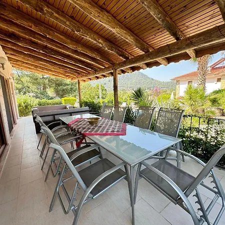 Olive Vila Fethiye